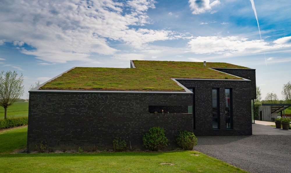 A rectangular modern house with a living grass roof