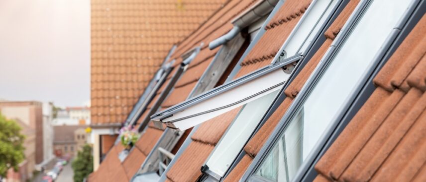 Skylights built into the roof of a complex